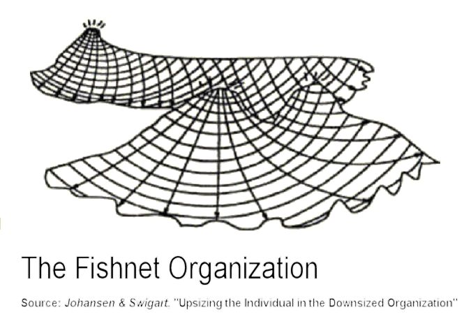 http://colab.cim3.net/file/work/Expedition_Workshop/2004-06-23_Networked_CoP/Fishnet-Org_20040623.jpg